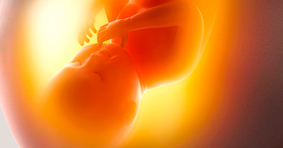 Cirurgia fetal deve ser coberta pelos planos de saúde