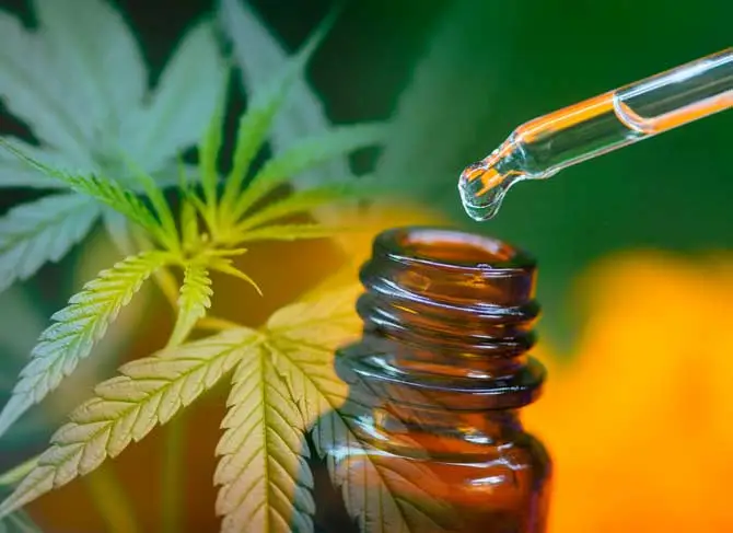 canabidiol deve ser custeado por planos de saúde
