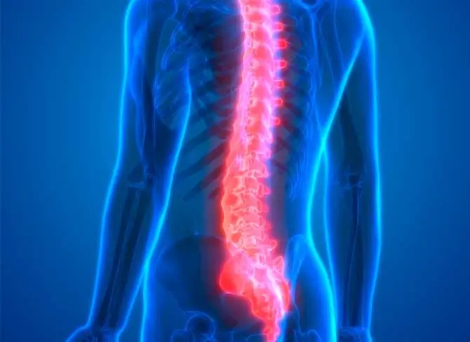 Transplante de medula óssea pelo plano de saúde