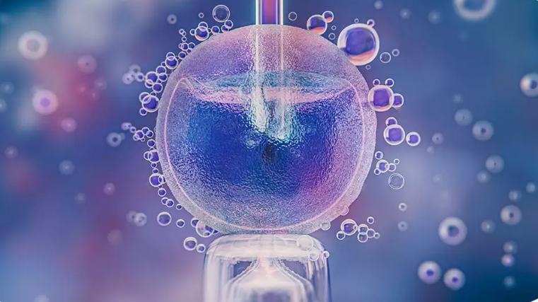 Foto Preservação da fertilidade em pacientes oncológicos: opções médicas e o direito ao custeio pelos planos de saúde
