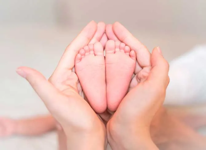 Foto Indenização e pensão especial para vítimas de Zika no Brasil