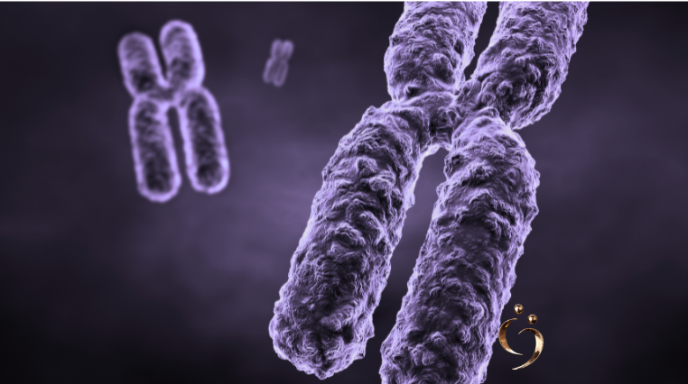 Cromossomo Philadelphia (BCR-ABL); cobertura do exame de dosagem do Cromossomo Philadelphia (BCR-ABL); cobertura de exames pelo plano de saúde; Negativa de cobertura pelo plano de saúde; tratamento oncológico